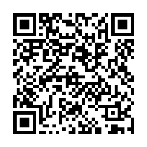 不含真实界的单体或嵌套形多元宇宙内的假传说假彼岸二维码生成