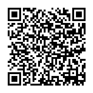 不少人看到秦洛刚才神乎其技的医术后反而对他是满脸崇拜和难以置信的表情二维码生成