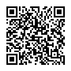 不把这个三番两次陷害他和想要伤害他家里人的敌人给干掉二维码生成