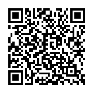 不是让自己与彼岸者投入的意识模拟宇宙之争的二维码生成