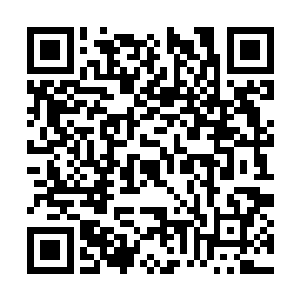 不死海的掌门这个时候如果要是还猜不到结果的话二维码生成