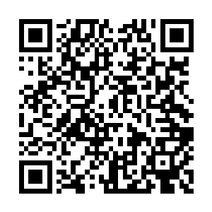 不然这种监控探头根本没办法捕捉到我们的动作二维码生成