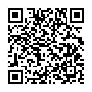 不用深想就知道绝对不会只是走错了房间如此简单就结束了二维码生成