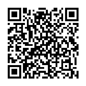 不知道是因为害怕还是因为叶秋在他的脖颈上面划了一刀二维码生成