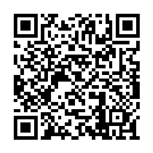 不管你有没有想过…我们是被逼无奈才困在这里二维码生成