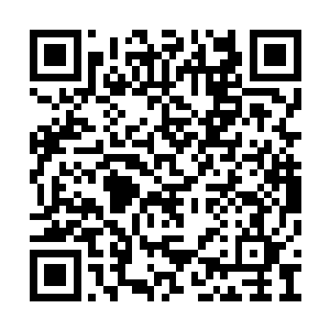 不管是第一部两杆大烟枪又或者是之前的木乃伊二维码生成