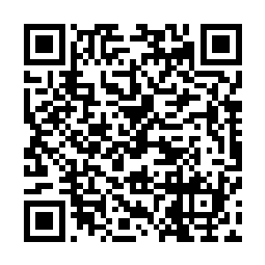 不管这个任务其实是他自己嘴贱生生从水蓝水母嘴里撬出来二维码生成