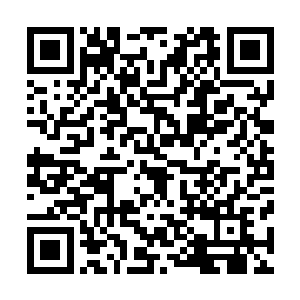 不至于因为自己这小小的蝴蝶扇动翅膀而较大幅度变动计划二维码生成