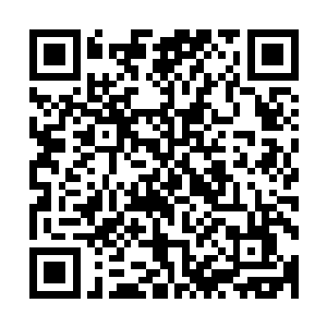 不要倚老卖老玩这种让人耻笑的小把戏了――把陆朝歌交给我二维码生成