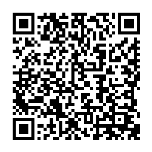 不要说五行吾素火起来之后华歌唱片在后续的商业活动中能捞到的利润了二维码生成