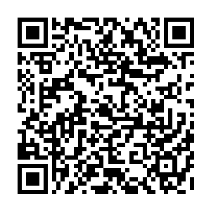 不论是箭号还是星号贝海开足了马力赚钱的时候强度就不是普通船可以比的了二维码生成