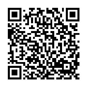 不过众人在这尸体上没有发出储物袋或者乾坤袋之类的空间法器二维码生成