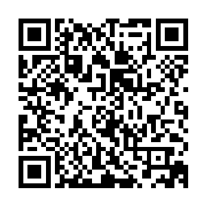 不过南方的两大势力墨景黎和雷振霆除了幸灾乐祸之外再无其他二维码生成