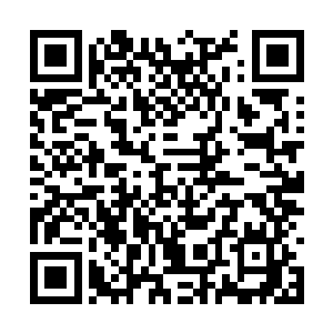 不过反正今天她原本也不打算顶着一张大肿脸回家二维码生成