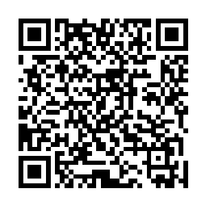 不过可惜征北大将军始终还是无法明白我父王心中的大志二维码生成