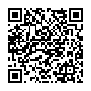 不过在看到那诸多攻击只是在防护光幕上荡出涟漪二维码生成