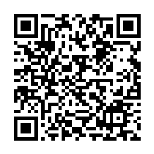 不过就算是这样苏叶依旧没有一点怀疑原联的潜意识二维码生成