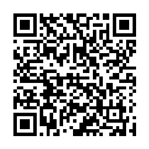 不过很快的两个人也是被悬放在那里的两幅画给吸引了二维码生成