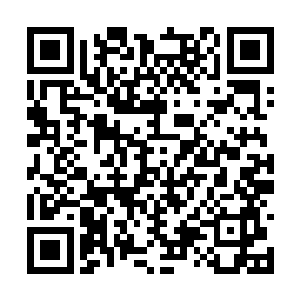 不过我们绝不会放任外人活着离去带走这里的情况二维码生成