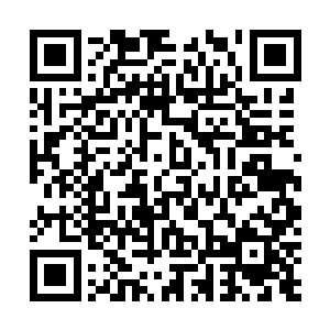 不过是掌握了一支海上武装商队与数个海盗团的波地群岛二维码生成