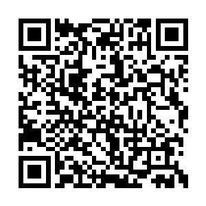 不过最近炼药师公会倒是偶尔会有一瓶流传出来二维码生成