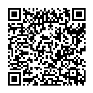 不过有一次亲眼遇到一条迷了路的小狗在铁牌上的信息引导下被交还给了主人二维码生成