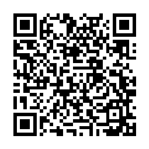 不过此时的欧阳家族似乎没有余力去经营星海星球二维码生成