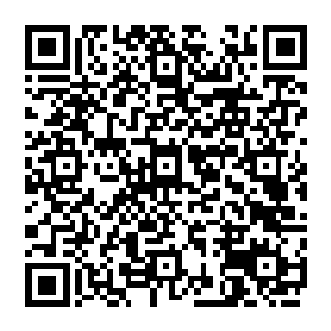 不过珍妮没想到李奥会真的赏脸出席――这也意味着他和克里斯之间持续了一段时间的二维码生成