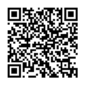 不过眼前的老者可是已经达到了恐怖的尊级顶峰的灵魂境界二维码生成