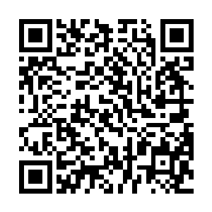 不过绿婆婆却安排了十几名美貌如画中人的仙娥来伺候二维码生成