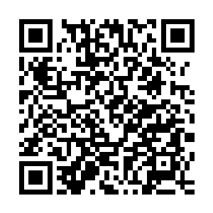 不过让叶尊没有想到的是在这里他竟然见到了一个当初的熟人二维码生成