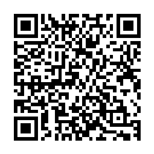 不过那个漩涡上方的空间就是我和仙主他们曾经去过的神秘空间二维码生成