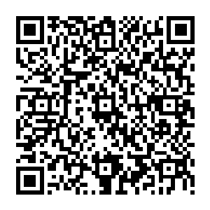 不过那名被保护在一旁的黄衣少女却在世界树叶子飞到他们上方的时候突然高声喊道二维码生成