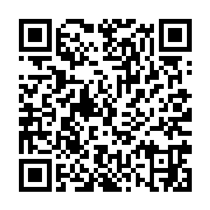 不过那苏林在宗门会战上救下了无数赤火宗天才弟子二维码生成