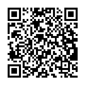 不过都是被叶夫人五年前硬生生的捆绑在一起了而已二维码生成