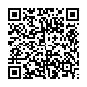不远处的那一张宝座似乎也已经是唾手可得了……二维码生成