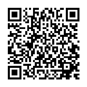 不顾一切冲出去把伏羲打成猪头三的冲动要不是他打不过伏羲二维码生成