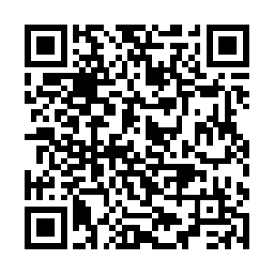 两个地仙期修士面对仙君期的威压如何能够经受得住二维码生成