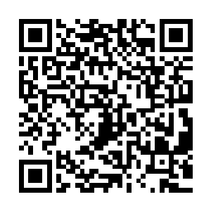 两个身影在拨金鼠的注视下终于是到了拨金鼠建立的所谓城市二维码生成