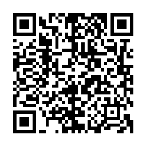 两更接近一万字完成…………感冒中奥斯卡卖力干活儿啊……二维码生成