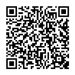 严默忽然有点感激起那个叫尼塔的红角族曾灌输给他的九级和十级骨器知识二维码生成