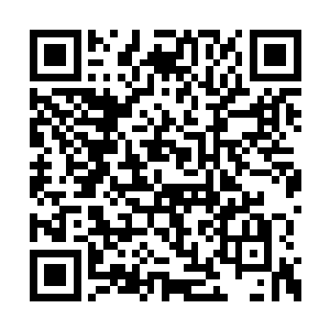 严默的说法和有角族神殿大人们的说法不太一样二维码生成