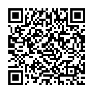 中午拍摄结束~顾倾欢总算找到了时间和机会询问老师身份的事二维码生成
