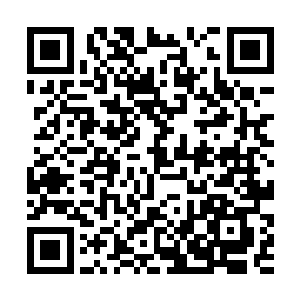 中间的水沲之周围伸出无数的柳条将这里围得死死的二维码生成