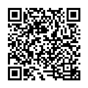 临淮侯府里的李管家在垂花门外专门等候着朱平安二维码生成