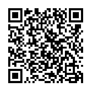 为什么一出事你却选择独自承受……打电话你不接二维码生成