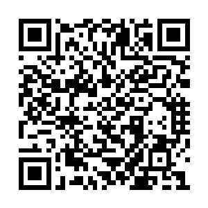 为什么宁愿让母型方舟渔翁得利也不给青帝缓冲二维码生成