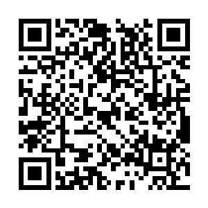 为师给你介绍一位为师当年在上界结识的好友认识二维码生成