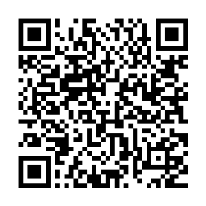 主力已向前推进了十里……就在这林木和瘴气还没有消失的秋季二维码生成