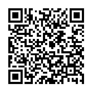 乃是原来跟着周通周明兄弟在海上讨生活的一名散修二维码生成